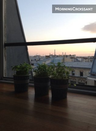 Vue sur la tour Eiffel ! 