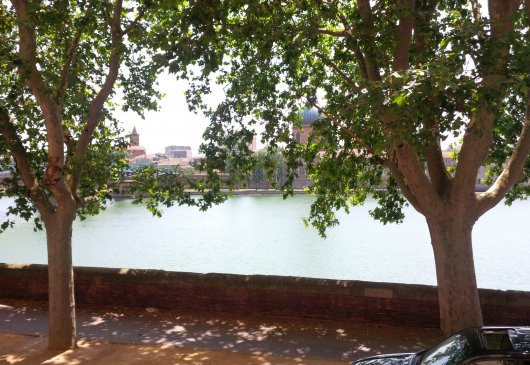 Centre superbe vue quai Garonne T2