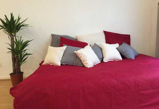 Appartement T1 - 4min Gare/Capitole