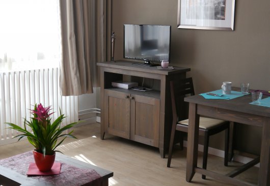 Appartement luxueux très bien placé