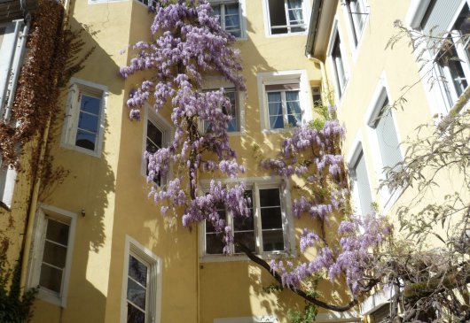 Grand APPART proche PETITE FRANCE